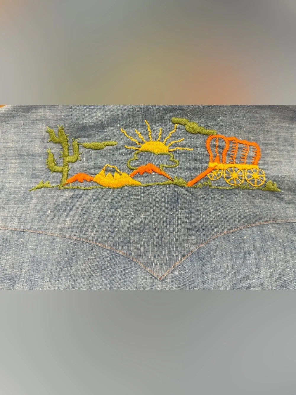 BRUTUS Light Blue Vintage Embroidered Western Shirt Sz S